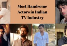 Most Handsome Actors in Indian TV Industry