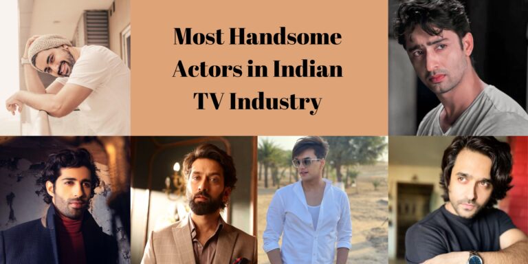 30 Most Handsome Actors in Indian TV Industry