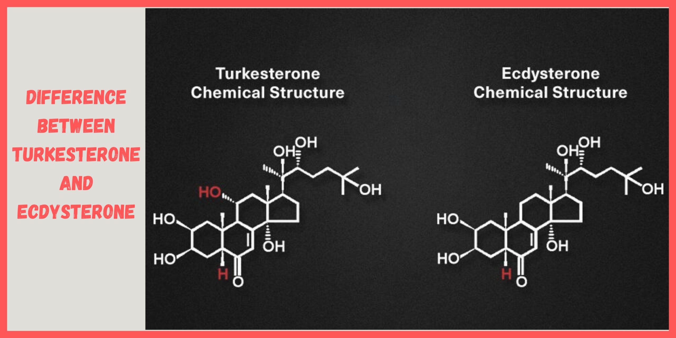 Difference Between Turkesterone and Ecdysterone