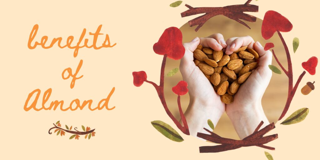 Benefits of Almond