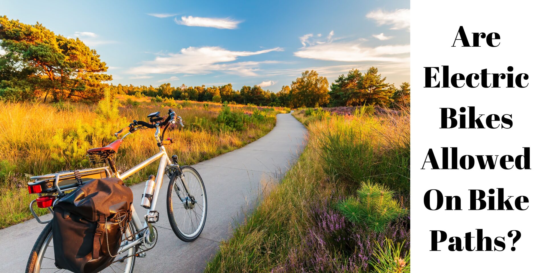 Are Electric Bikes Allowed On Bike Paths?