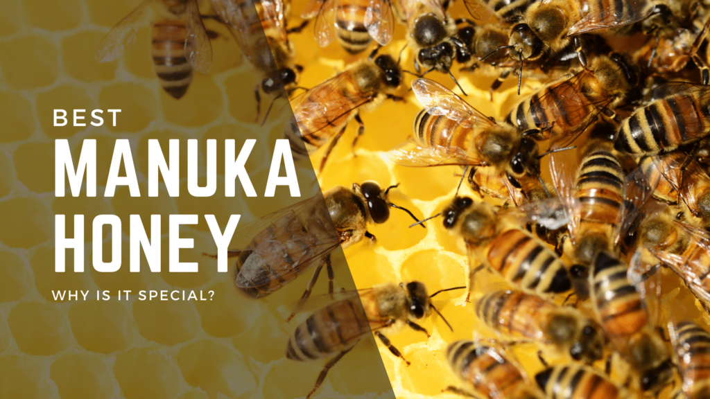 manuka honeyn - group of bees producing honey