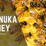 manuka honeyn - group of bees producing honey