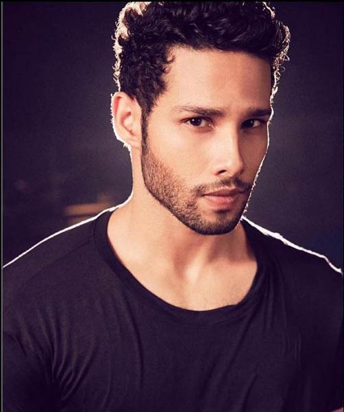 Siddhant Chaturvedi in blue round neck t-shirt posing for camera and showing his curly hair - actors hairstyle