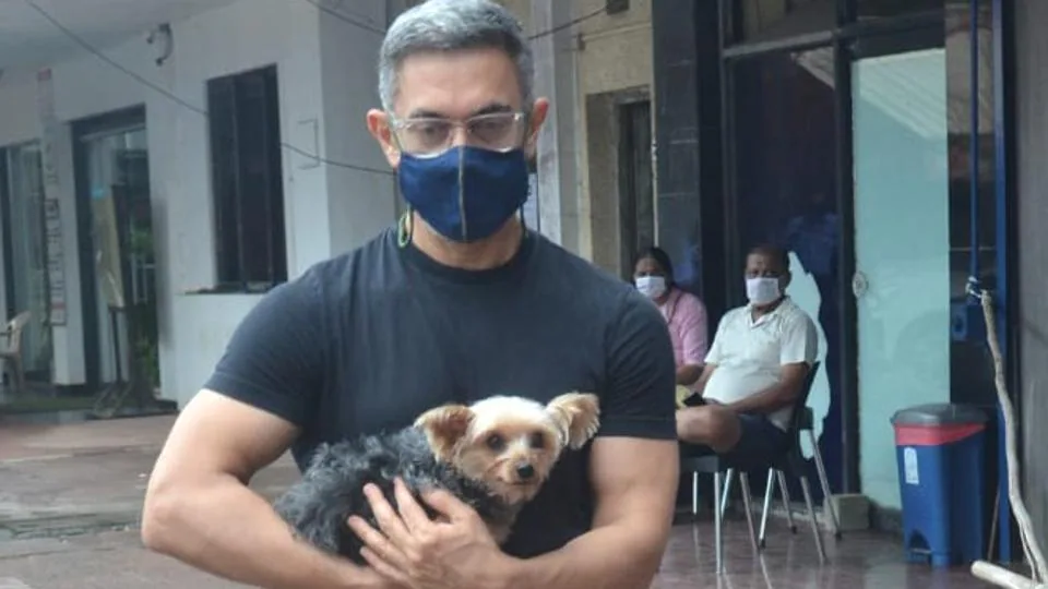 Aamir Khan in black round neck t-shirt with mask and spectacles holding his dog - Bollywood hero without makeup