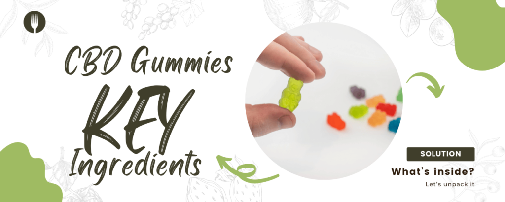 CBD Gummies: What’s Inside? 4 Key Ingredients
