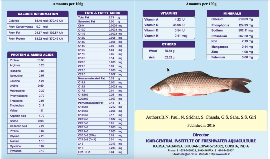 Why Should You Eat Rohu Fish Rohu Fish Benefits Find Health Tips